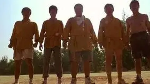 【UNFX课堂】揭秘不同类型的外汇零售经纪商